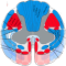 stem cell therapy for als