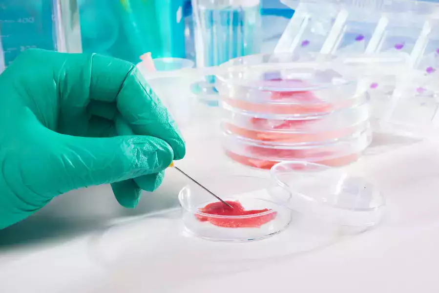 Embryonic Stem Cells