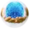 Encephalopathy