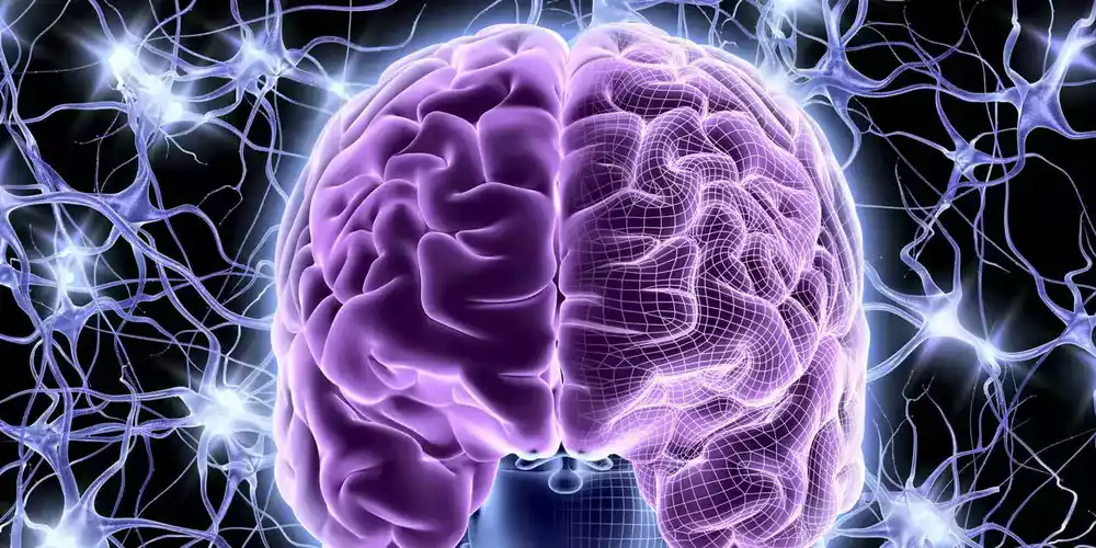 Stem Cell Therapy for Encephalopathy