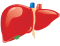 stem cell therapy for Liver Cirrhosis
