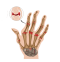 stem cell therapy for Arthritis Disorder