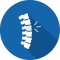 stem cell therapy for Spinal Injury