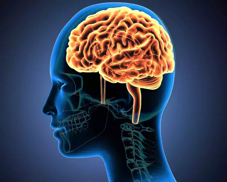 Stem Cell Treatment for Multiple Sclerosis