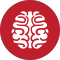 stem cell therapy for stroke