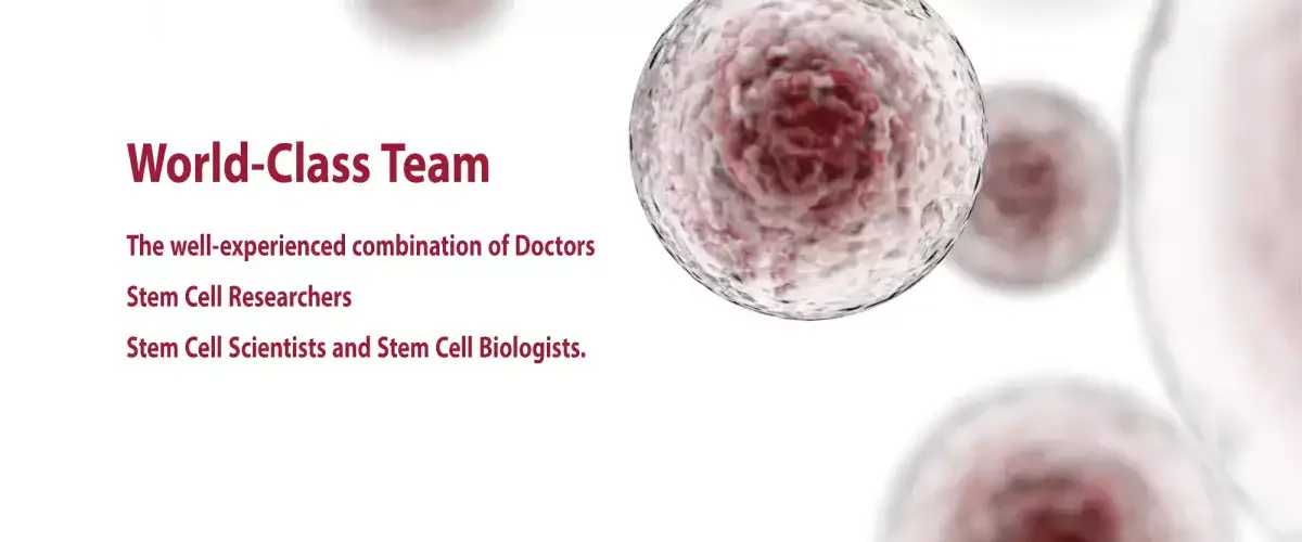 World-Class Stem Cell Doctors and Researchers